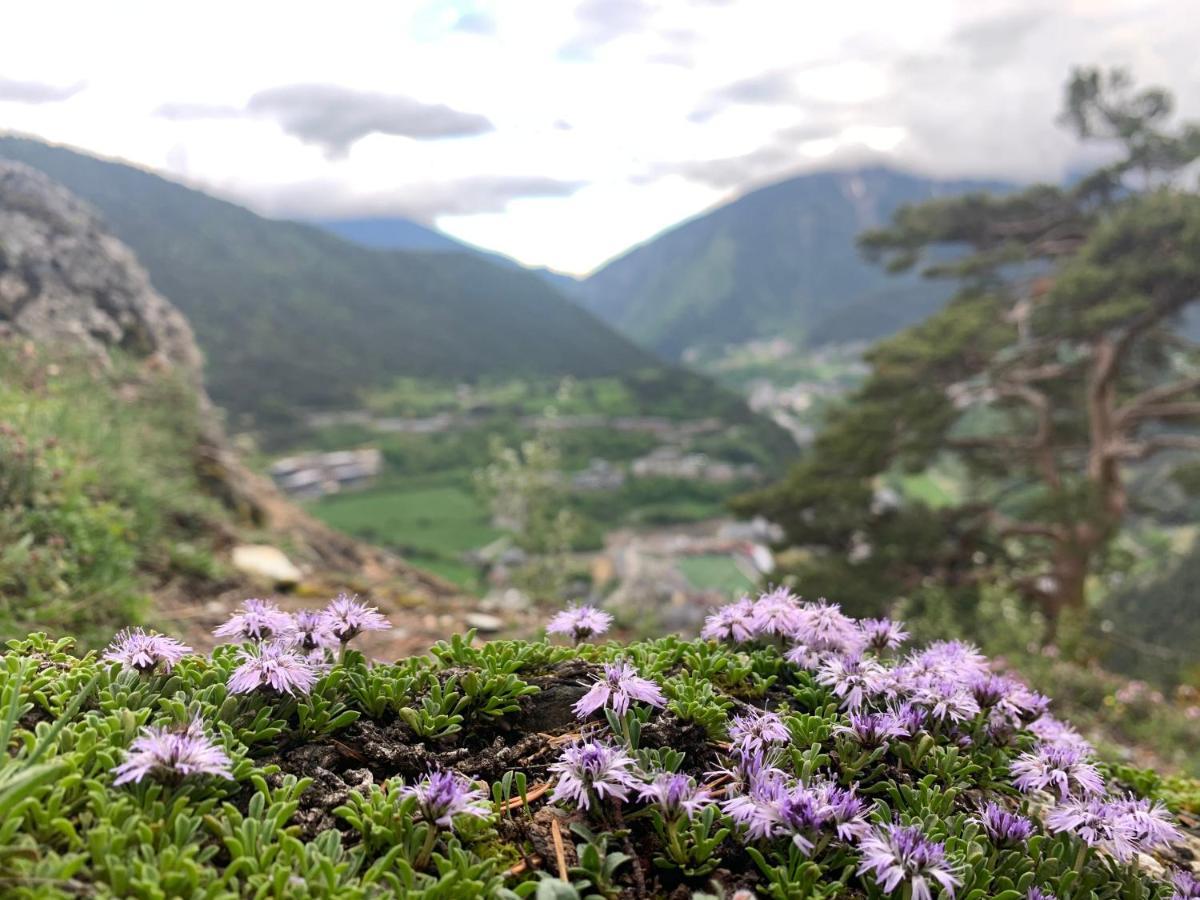 Maians - Peu Del Riu 122 - Vall D'Incles - Soldeu المظهر الخارجي الصورة